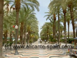 alicanet harbor palms