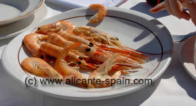 Places to visit in Spain Seafood