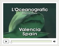 Click here for the Valencia video of the Oceanographic